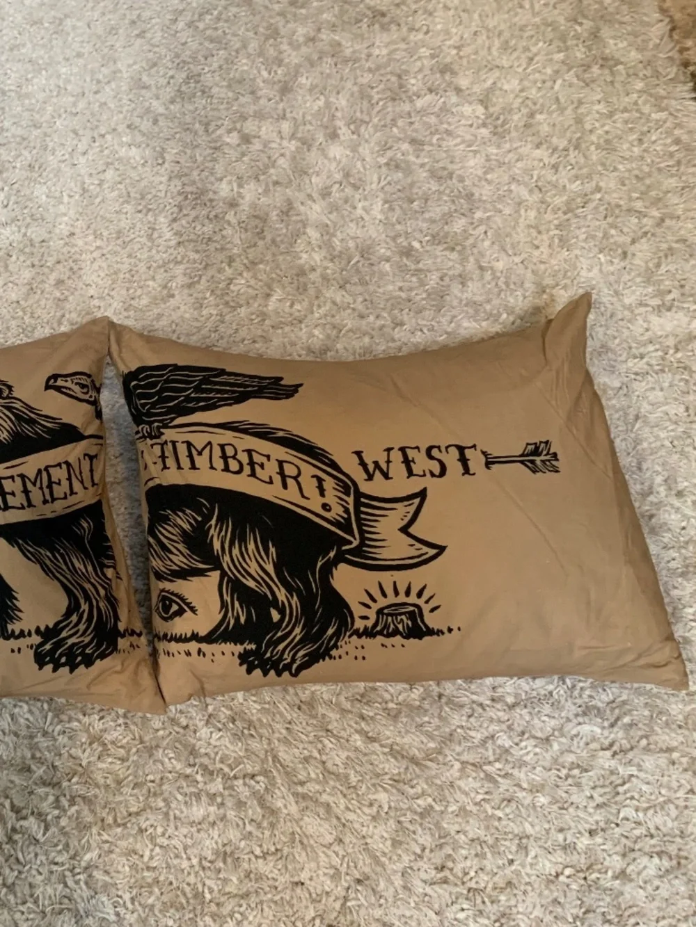 Pottery Barn Teen X 2 Standard Pillowcases Western Adventure Cabincore Bear Dorm
